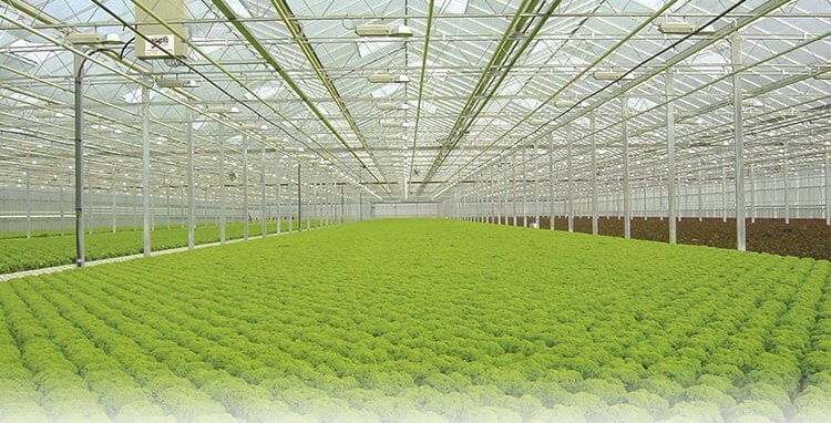 ایرواشر گلخانه ای