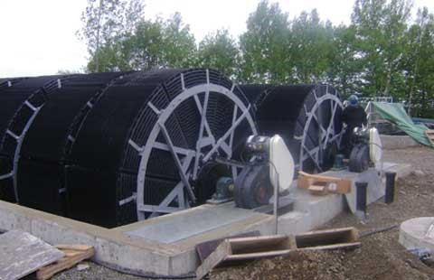 5642010.jpg
